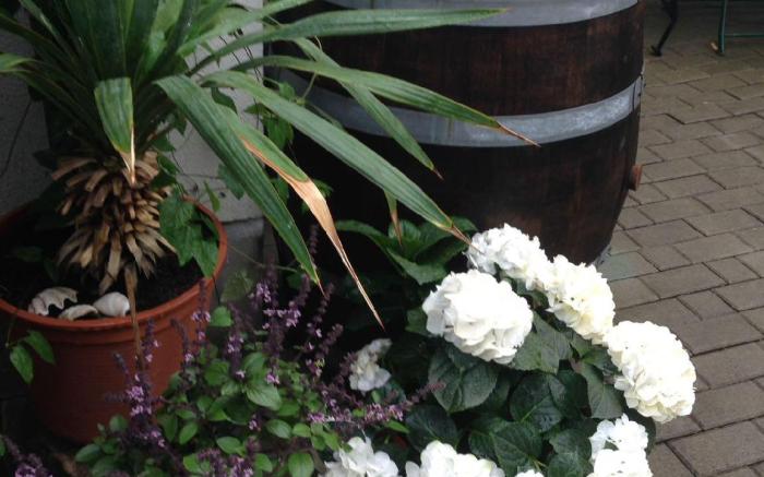 Ferienhäusl am Malerweg