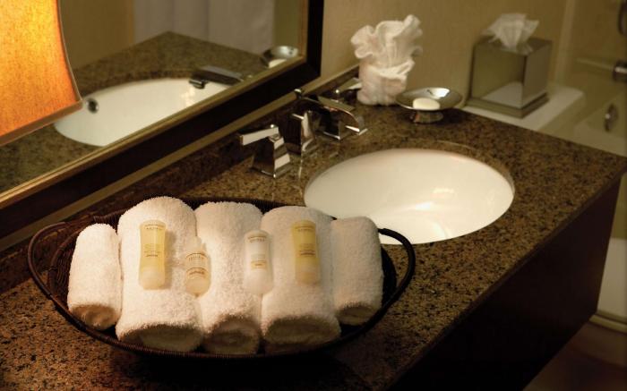 Sonesta Atlanta Airport North