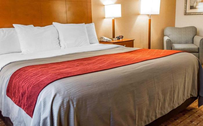 Comfort Inn & Suites Franklin East