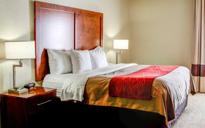Comfort Inn Bessemer Birmingham South