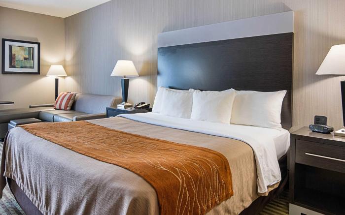 Comfort Inn Camden