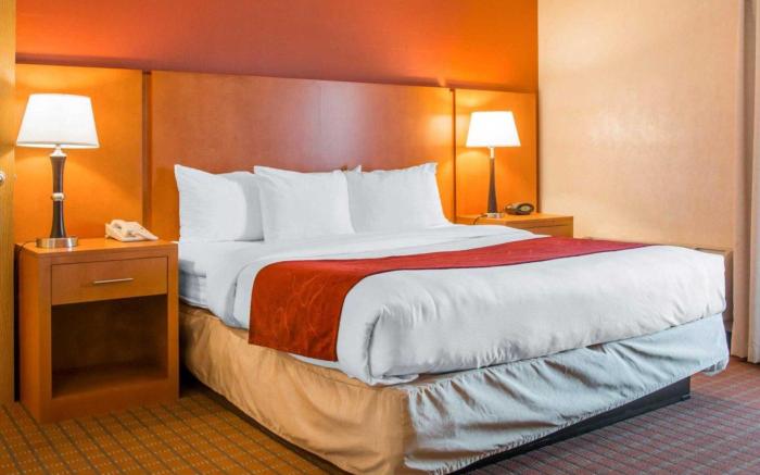 Comfort Suites Auburn Hills-Detroit