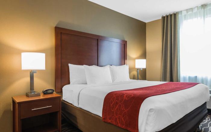 Comfort Suites Tampa Airport North
