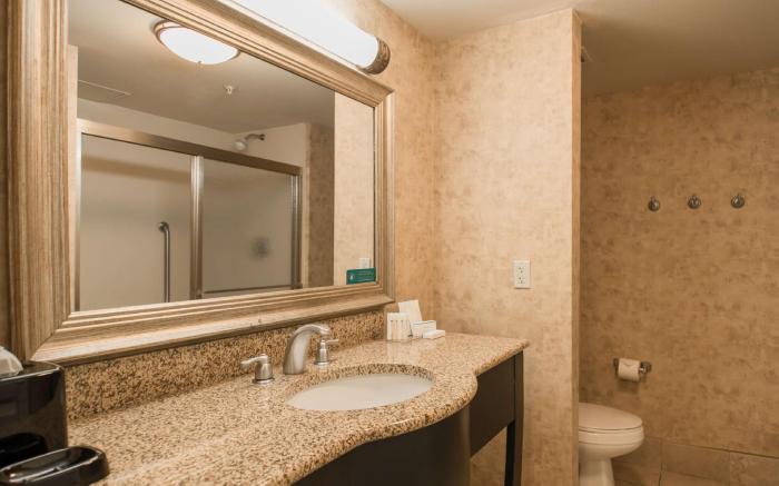 Hampton Inn & Suites Baton Rouge - I-10 East