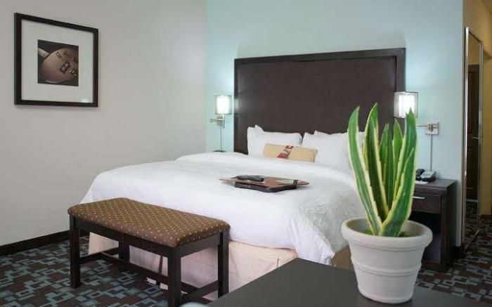 Hampton Inn & Suites Nashville @ Opryland