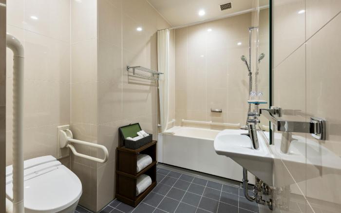 HOTEL THE CELESTINE GINZA