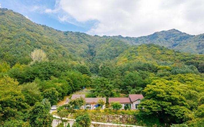 Youngwal cloud garden