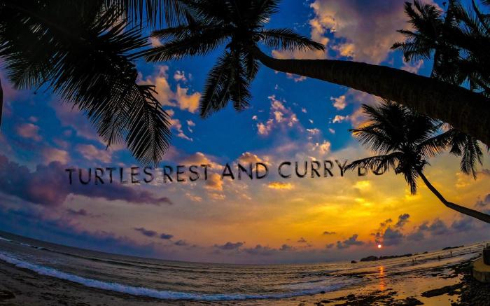 Curry Bowl Restaurant & Turtles Rest