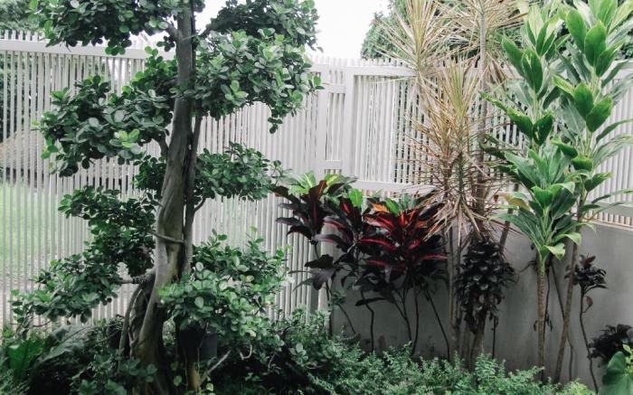 Thon House Near Jawa Timur Park 3 