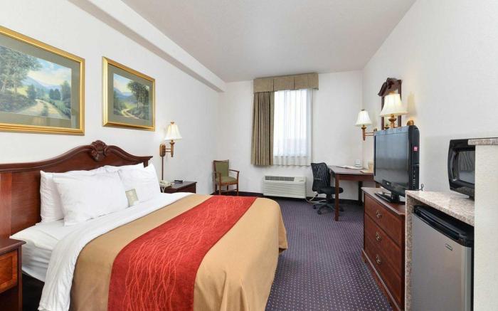 Comfort Inn & Suites