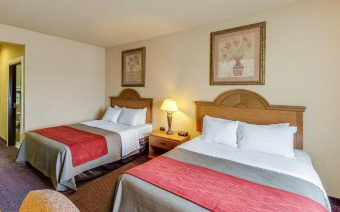 Comfort Inn & Suites and Suites Fredericksburg