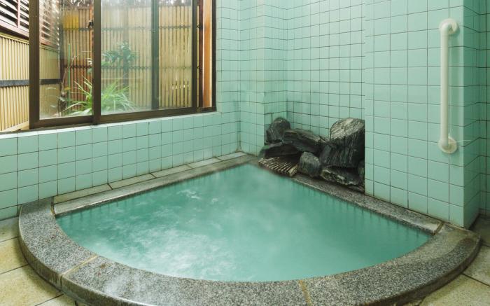 Ryokan New Ougiya