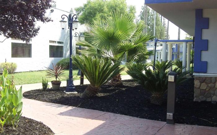 SureStay Plus Hotel by Best Western Sacramento Cal Expo