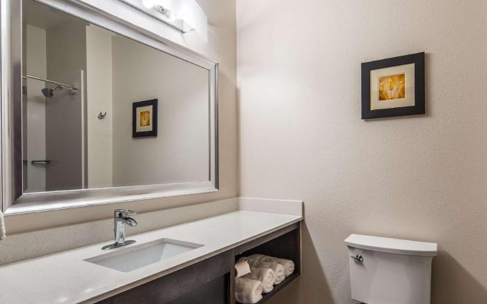 Best Western Plus Waller Hotel