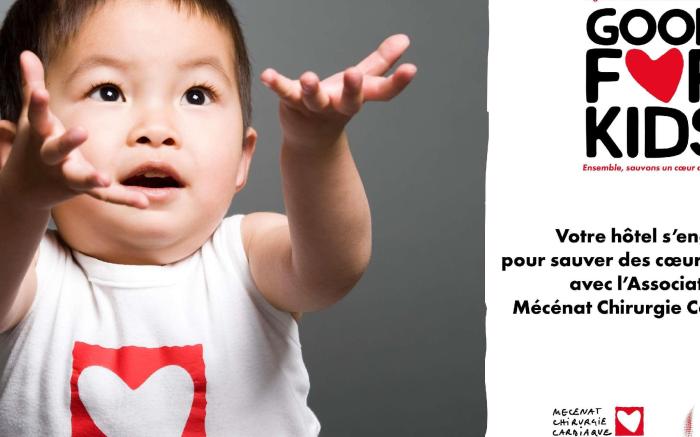 Ibis St Gratien Enghien Les Bains