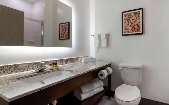 Best Western Plus Isanti