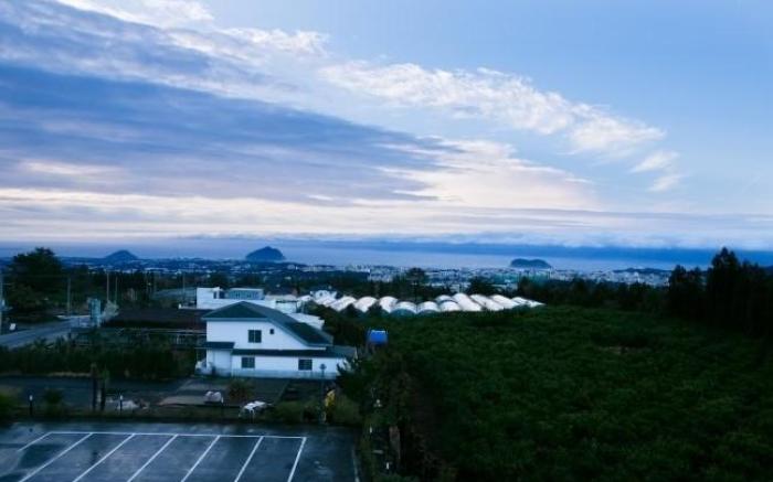 Seogwipo lacomma pension