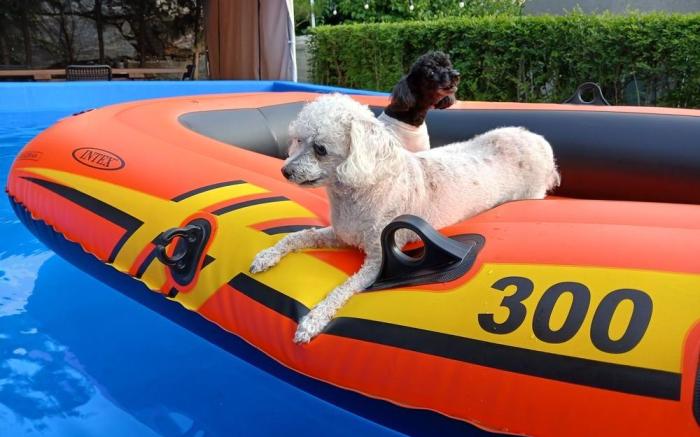 Yeonchun haneulgwa gureum