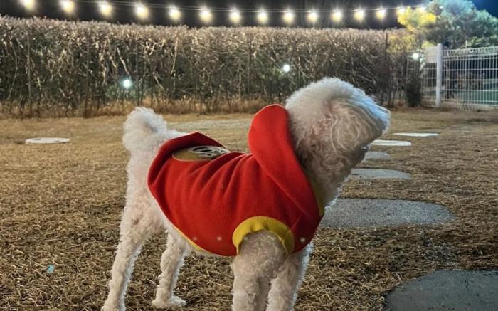 Yeonchun haneulgwa gureum