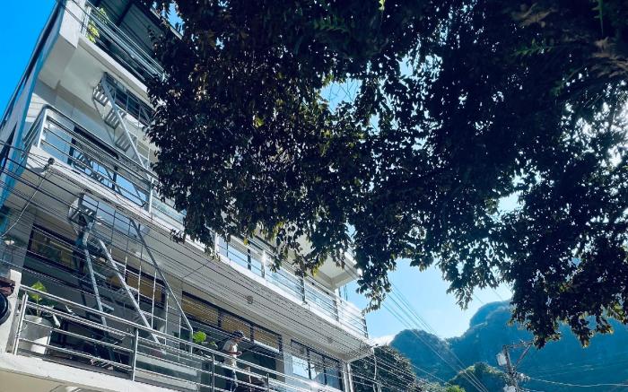 Alocasia Hostel