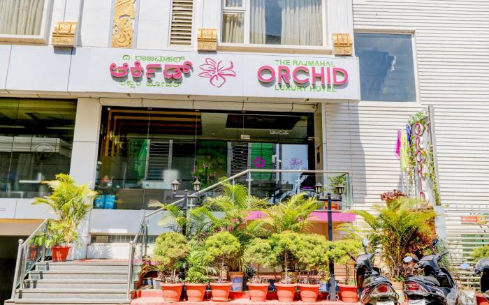 Treebo Orchid