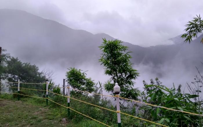 Nature Drops