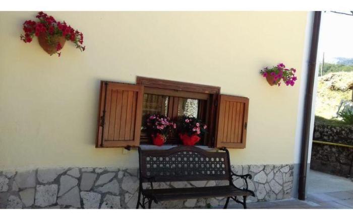 Hotel Pinguino
