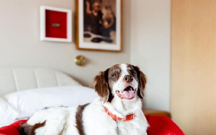 Virgin Hotels Nashville
