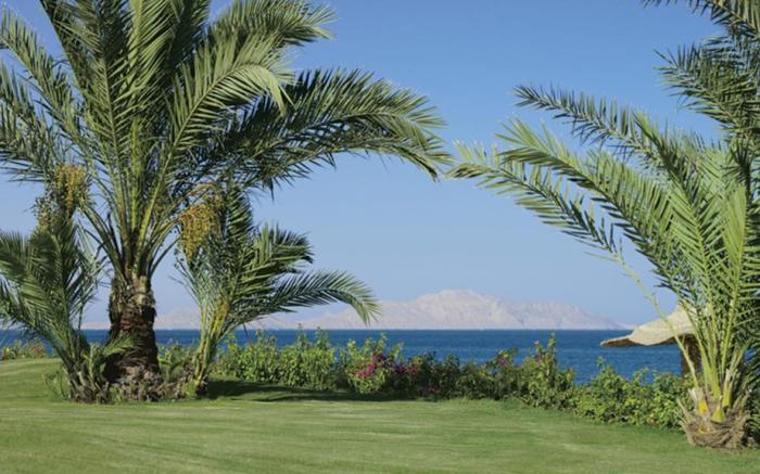 Monte Carlo Sharm Resort & Spa
