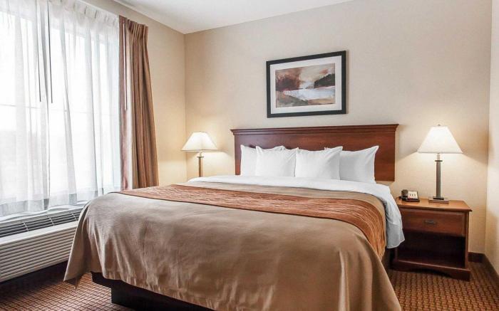 Comfort Inn & Suites Atoka-Millington