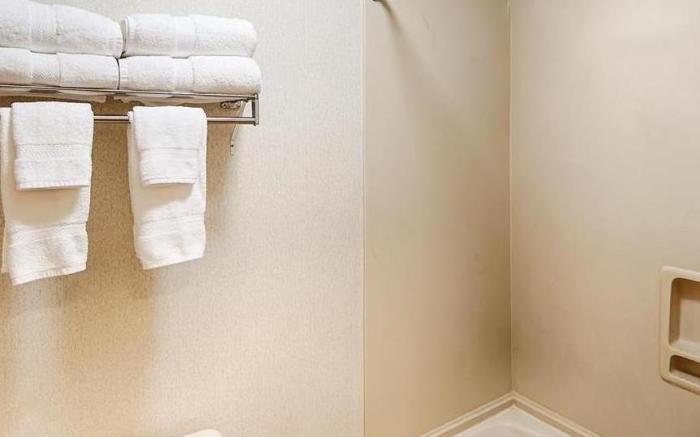 Best Western Dallas Inn and Suites