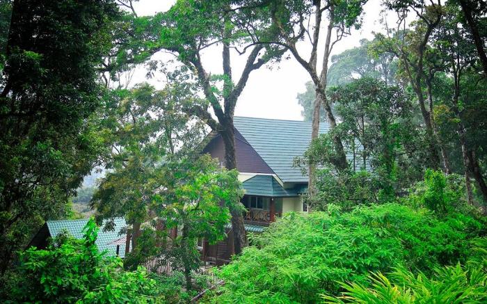 Raarees Mist Resort