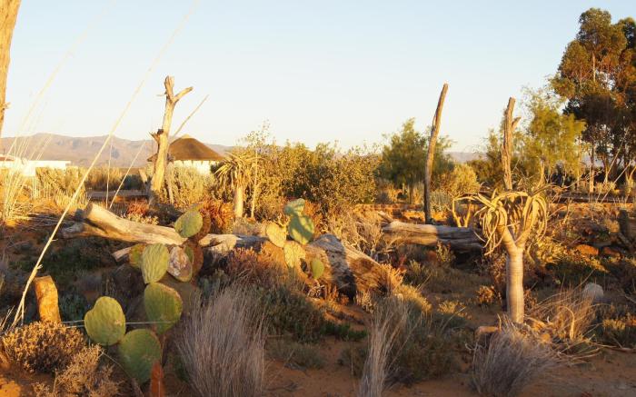 Inverdoorn Game Reserve