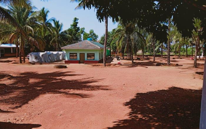 Coconut Tree Resort