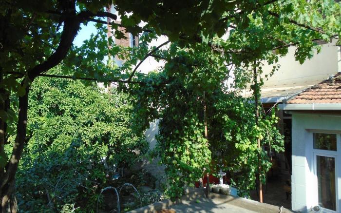 LOTUS GARDEN HOSTEL