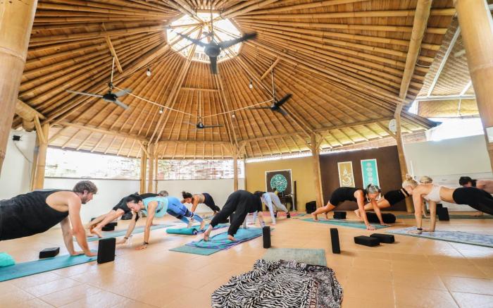 Serenity Eco Guesthouse and Yoga 