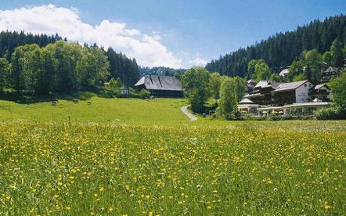 Hotel Kesslermuhle