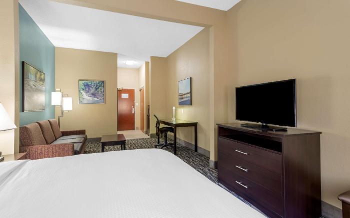 Best Western Plus McDonough Inn & Suites