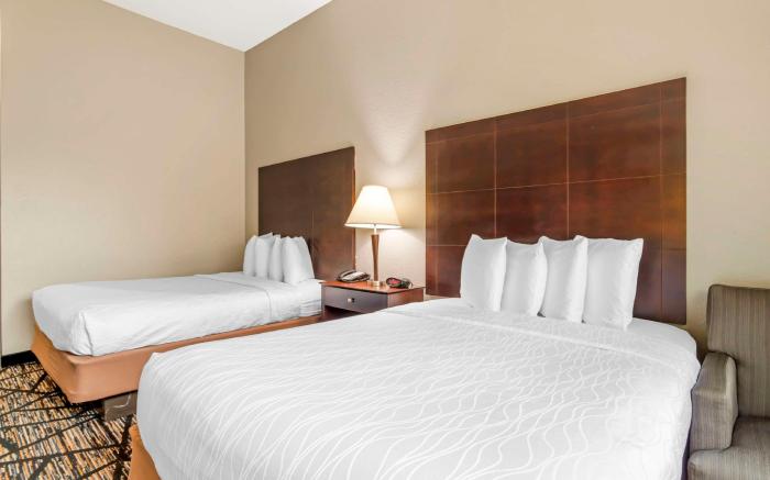 Best Western Plus Hobby Airport Inn & Suites