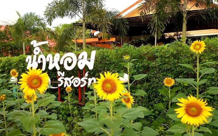 Numhom Resort