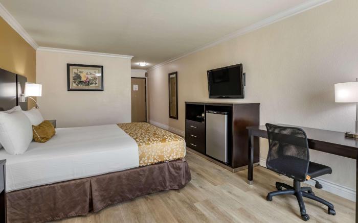 Best Western Plus South Bay Hotel