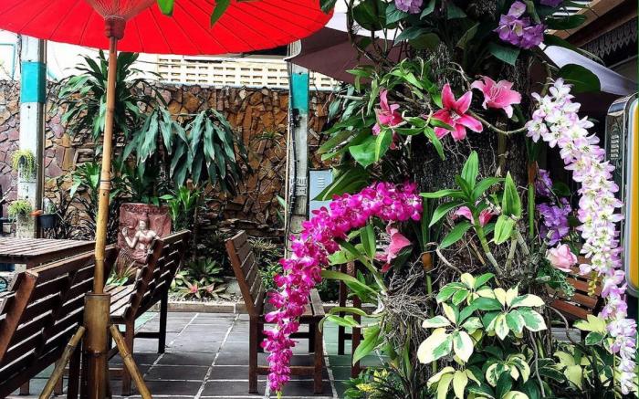 Panda House Chiangmai