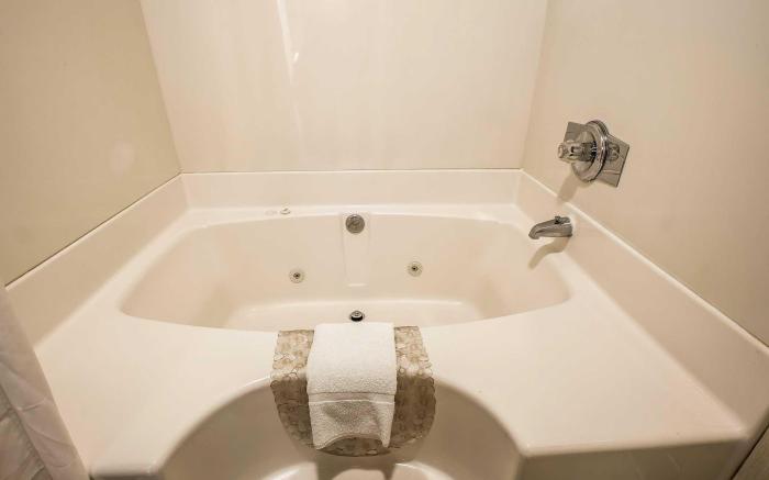 Quality Inn & Suites Mt. Chalet
