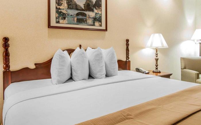 Quality Inn Rome South