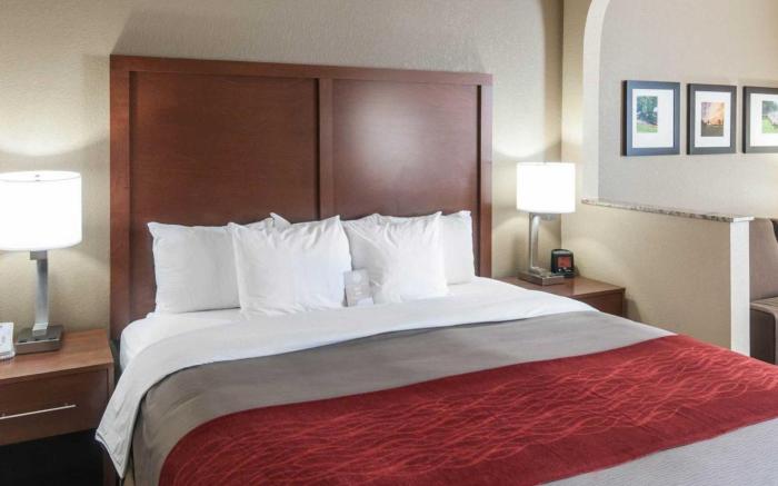 Comfort Inn & Suites LaGrange East