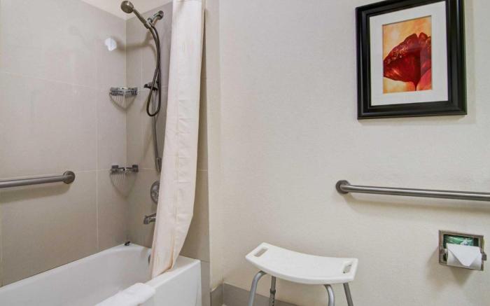 Comfort Suites Northside Hospital Gwinnett
