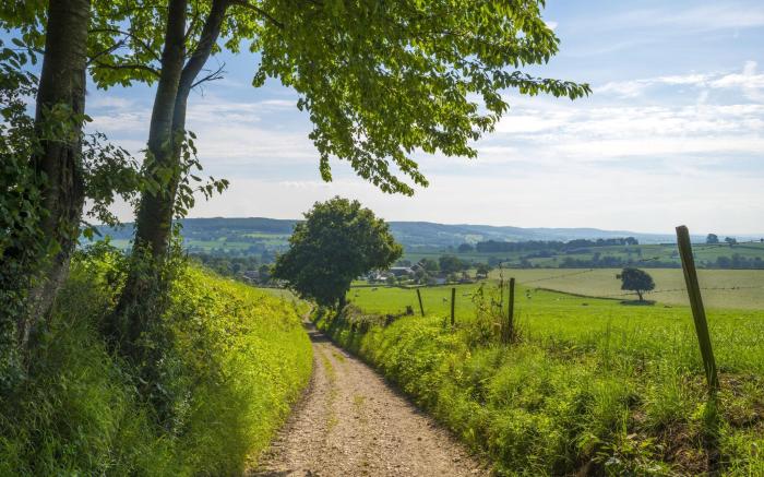 Holiday Home in Limburg with Outdoor Fireplace