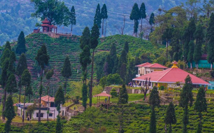 Chamong Chiabari-Mountain Retreat & Spa