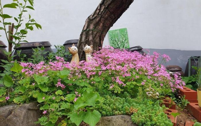 Jeonju Geuriunjib Guesthouse