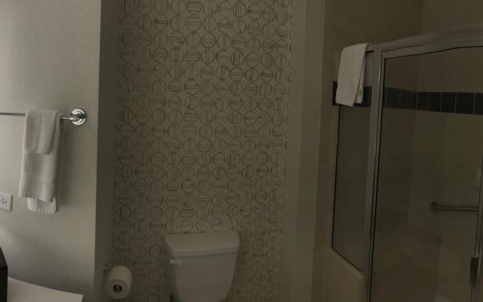 Holiday Inn and Suites McKinney - Allen By IHG